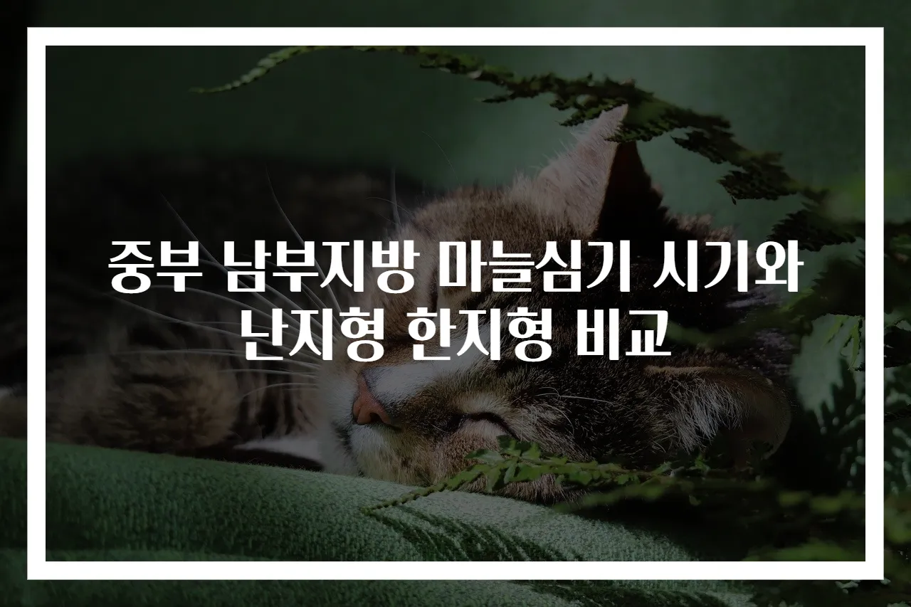 중부 남부지방 마늘심기 시기와 난지형 한지형 비교