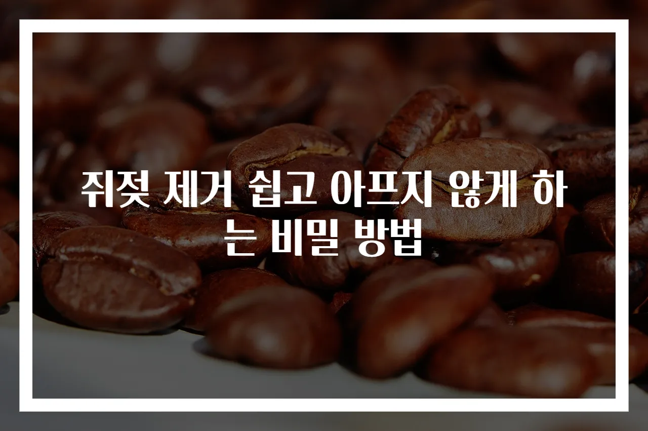 쥐젖 제거 쉽고 아프지 않게 하는 비밀 방법