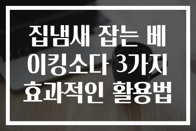집냄새 잡는 베이킹소다 3가지 효과적인 활용법