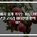 집에서 쉽게 키우는 피토니아와 보스톤고사리 아디안텀 완벽 가이드