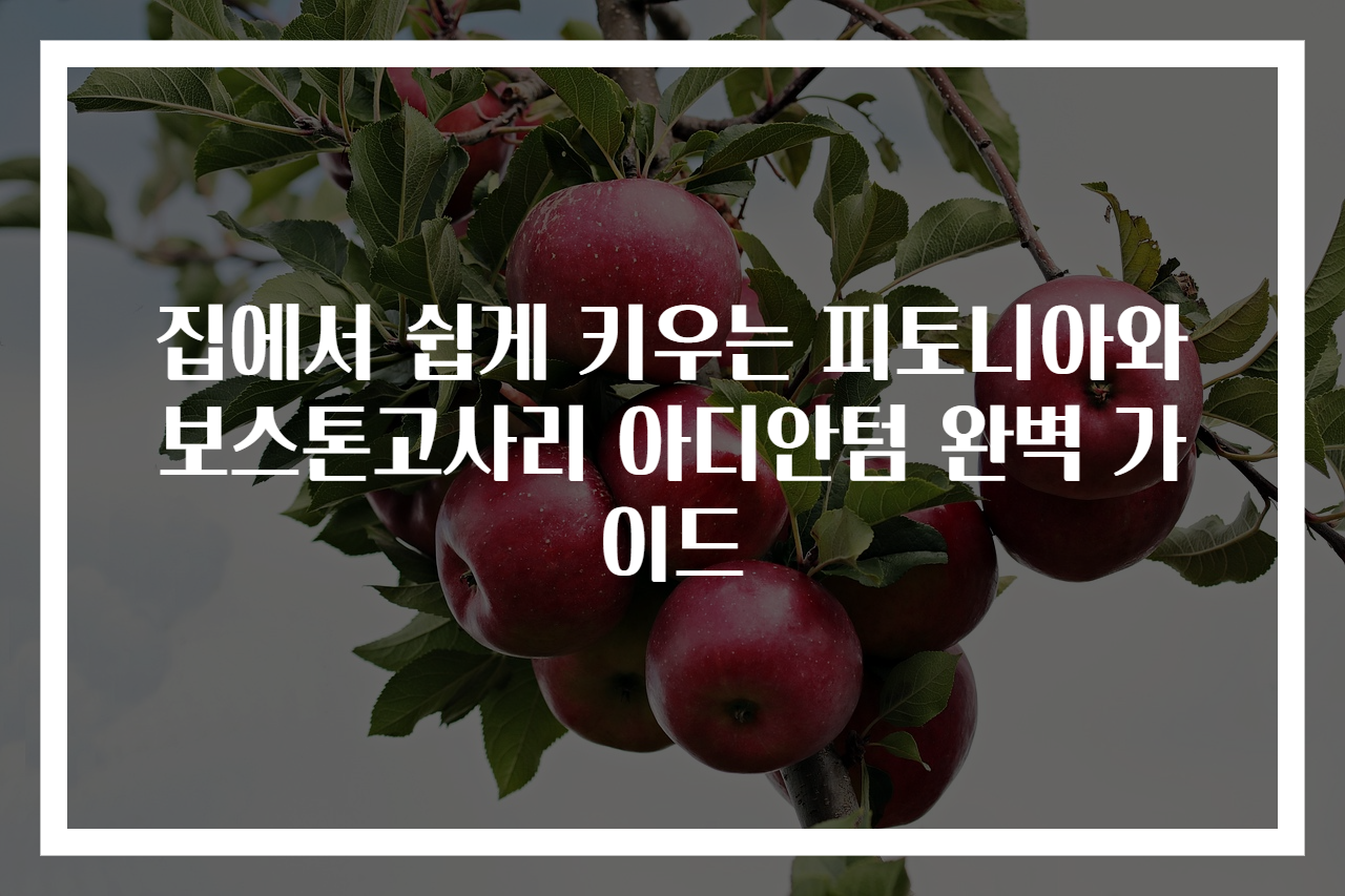 집에서 쉽게 키우는 피토니아와 보스톤고사리 아디안텀 완벽 가이드