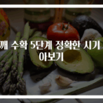 참깨 수확 5단계 정확한 시기 알아보기