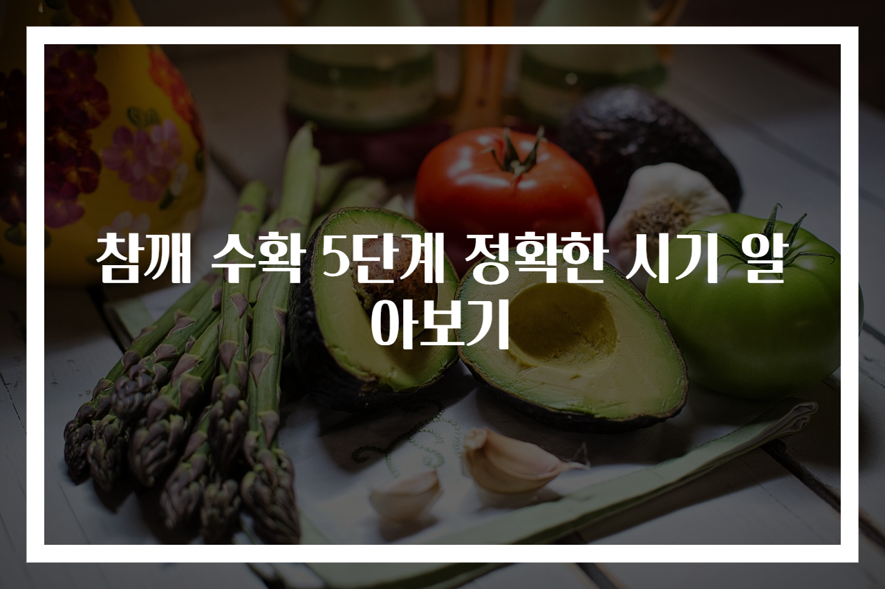 참깨 수확 5단계 정확한 시기 알아보기