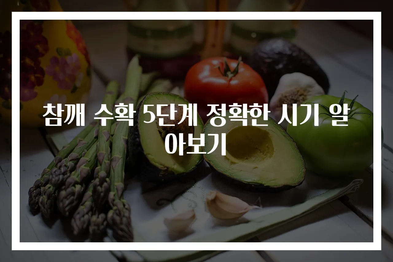 참깨 수확 5단계 정확한 시기 알아보기