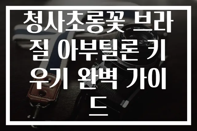 청사초롱꽃 브라질 아부틸론 키우기 완벽 가이드