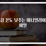 체감 온도 낮추는 미니멀라이프 비밀