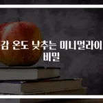 체감 온도 낮추는 미니멀라이프 비밀