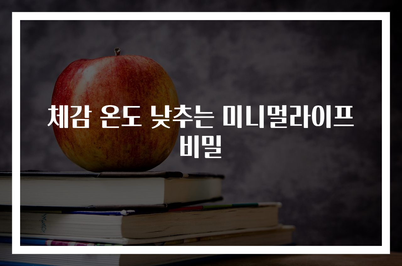 체감 온도 낮추는 미니멀라이프 비밀