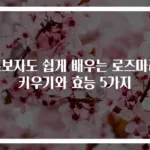 초보자도 쉽게 배우는 로즈마리 키우기와 효능 5가지