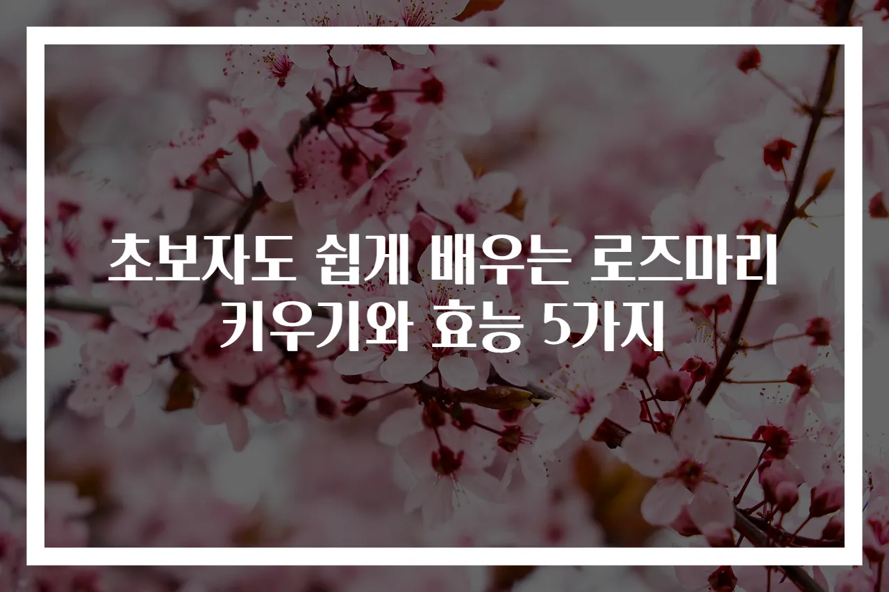 초보자도 쉽게 배우는 로즈마리 키우기와 효능 5가지