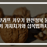 초코리프 키우기 완전정복 물주기 가지치기와 삽목법까지