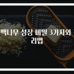 측백나무 성장 비밀 3가지와 관리법