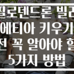 필로덴드론 빌리에티아 키우기 전 꼭 알아야 할 5가지 방법