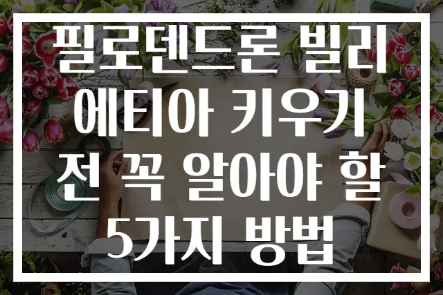 필로덴드론 빌리에티아 키우기 전 꼭 알아야 할 5가지 방법