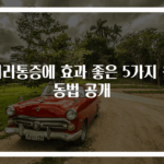 허리통증에 효과 좋은 5가지 운동법 공개