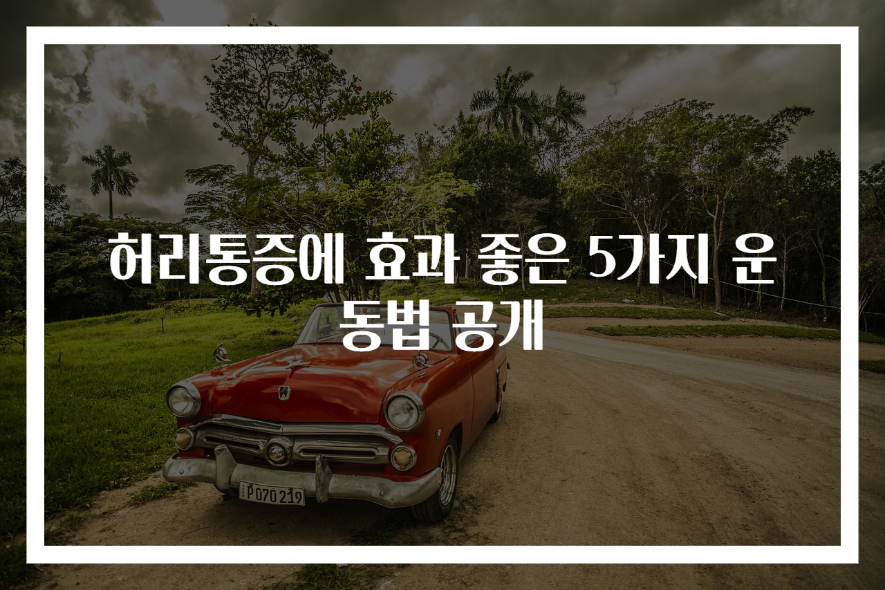 허리통증에 효과 좋은 5가지 운동법 공개