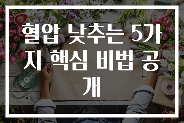 혈압 낮추는 5가지 핵심 비법 공개