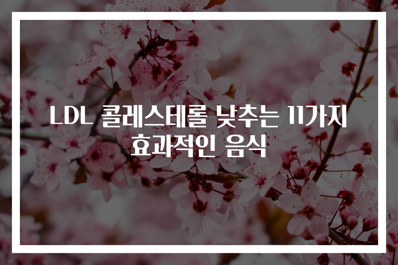 LDL 콜레스테롤 낮추는 11가지 효과적인 음식