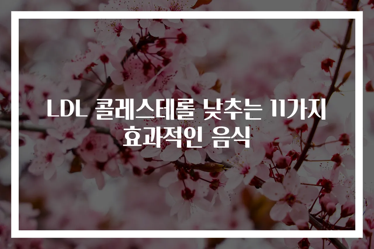 LDL 콜레스테롤 낮추는 11가지 효과적인 음식