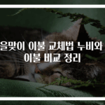 가을맞이 이불 교체법 누비와 솜이불 비교 정리