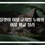 가을맞이 이불 교체법 누비와 솜이불 비교 정리