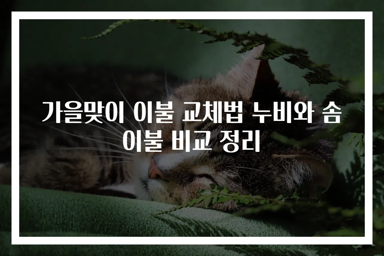 가을맞이 이불 교체법 누비와 솜이불 비교 정리