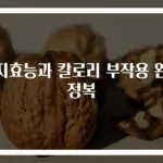 가지효능과 칼로리 부작용 완전 정복