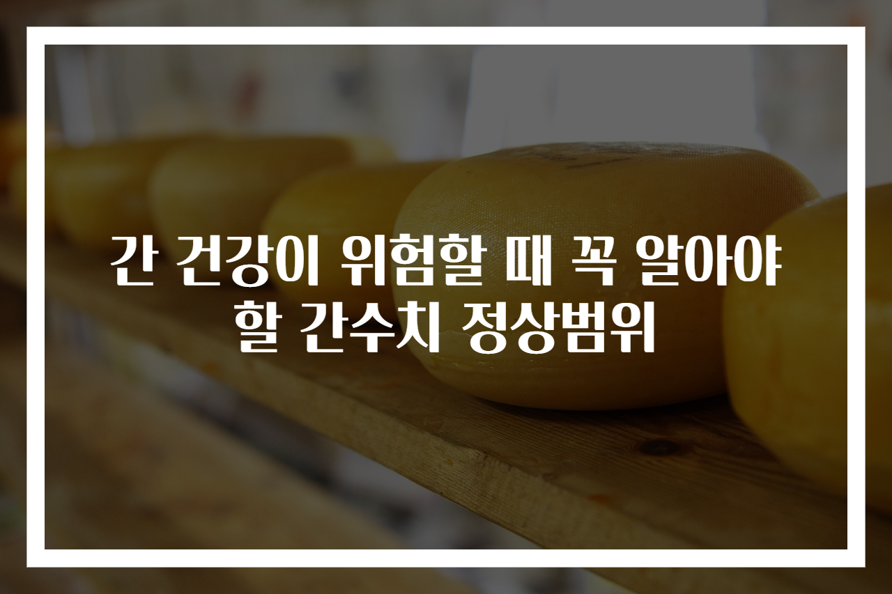 간 건강이 위험할 때 꼭 알아야 할 간수치 정상범위