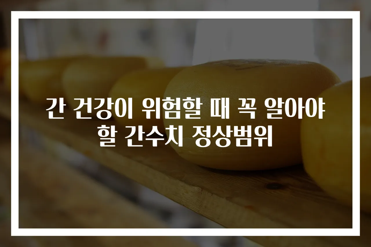 간 건강이 위험할 때 꼭 알아야 할 간수치 정상범위