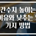 간수치 높이는 이유와 낮추는 5가지 방법