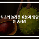 감식초의 놀라운 효능과 영양성분 총정리