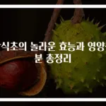 감식초의 놀라운 효능과 영양성분 총정리