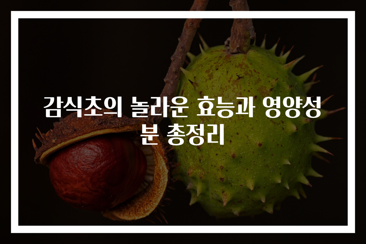 감식초의 놀라운 효능과 영양성분 총정리