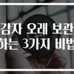 감자 오래 보관하는 3가지 비법