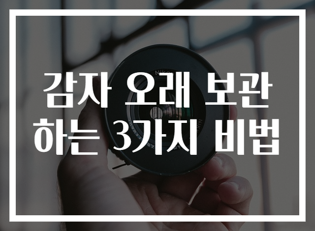 감자 오래 보관하는 3가지 비법