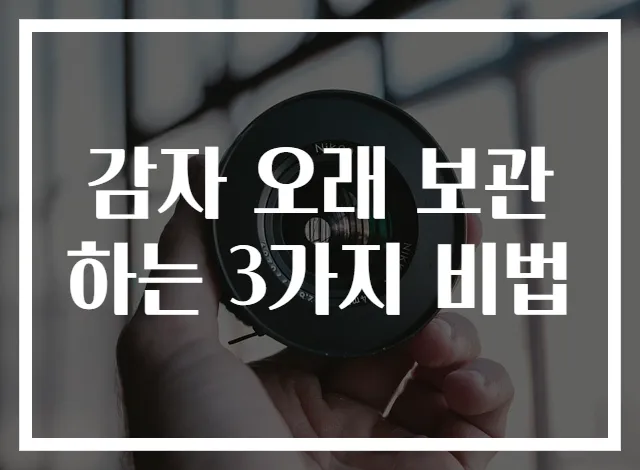 감자 오래 보관하는 3가지 비법