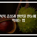 거북목 증상과 원인을 한눈에 파악하는 법