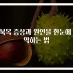 거북목 증상과 원인을 한눈에 파악하는 법