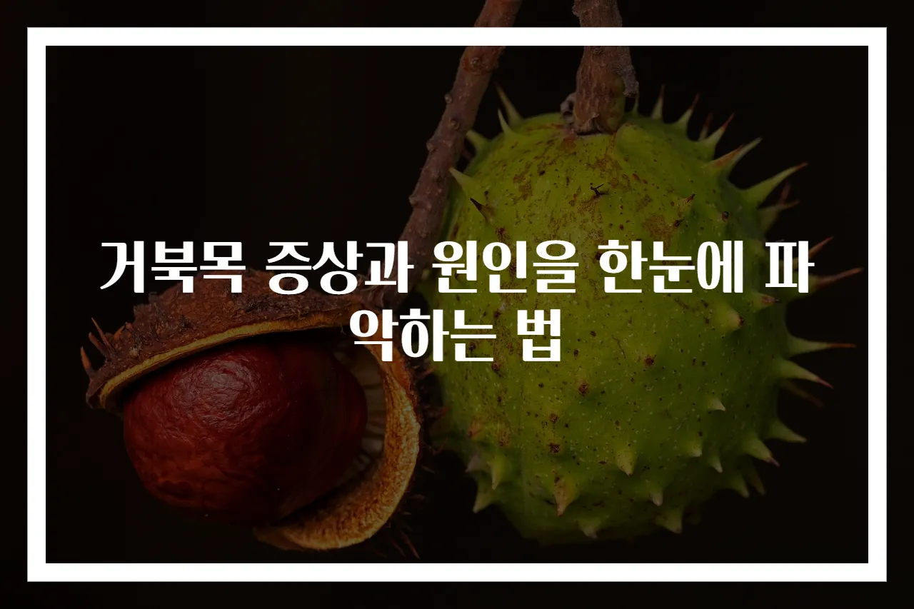 거북목 증상과 원인을 한눈에 파악하는 법