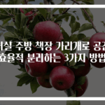 거실 주방 책장 가리개로 공간 효율적 분리하는 3가지 방법