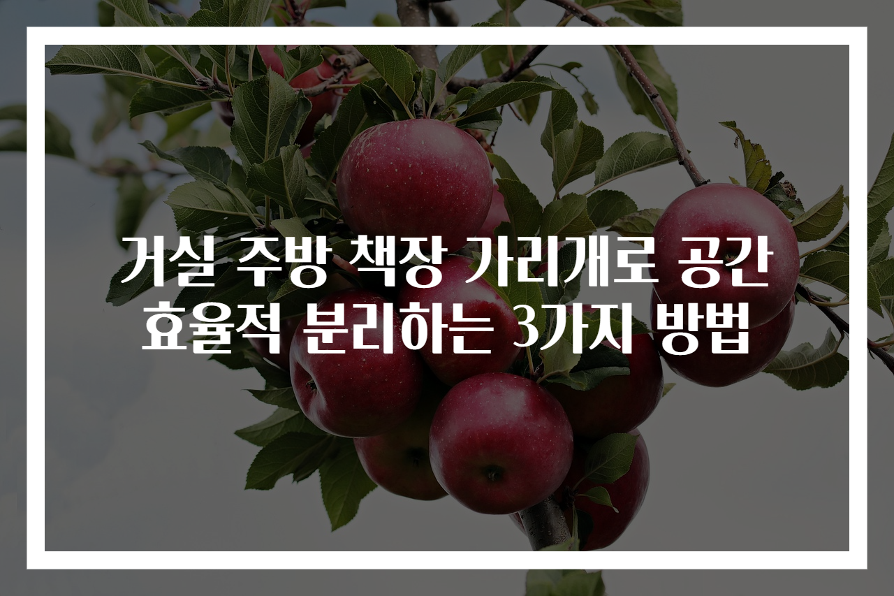 거실 주방 책장 가리개로 공간 효율적 분리하는 3가지 방법