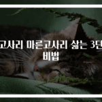 건고사리 마른고사리 삶는 3단계 비법