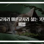 건고사리 마른고사리 삶는 3단계 비법