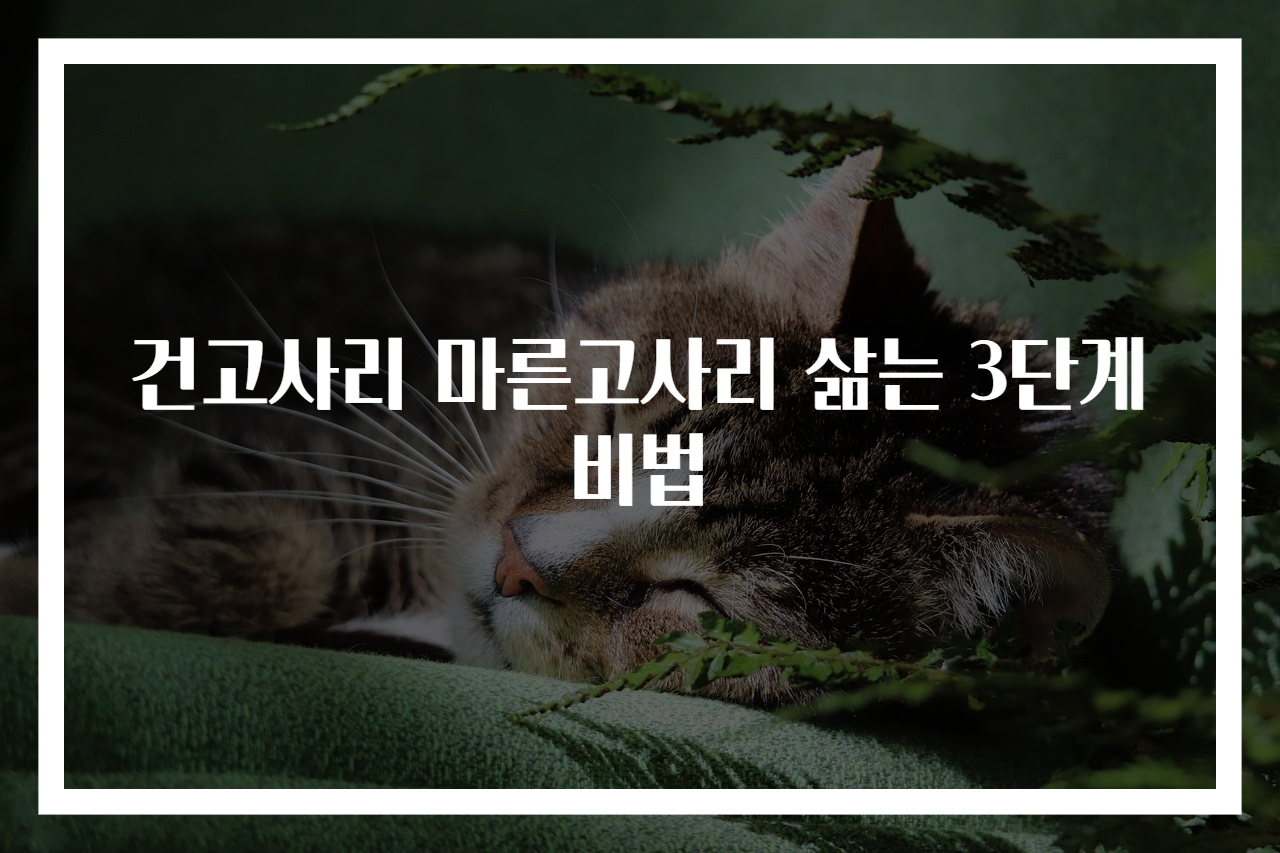 건고사리 마른고사리 삶는 3단계 비법