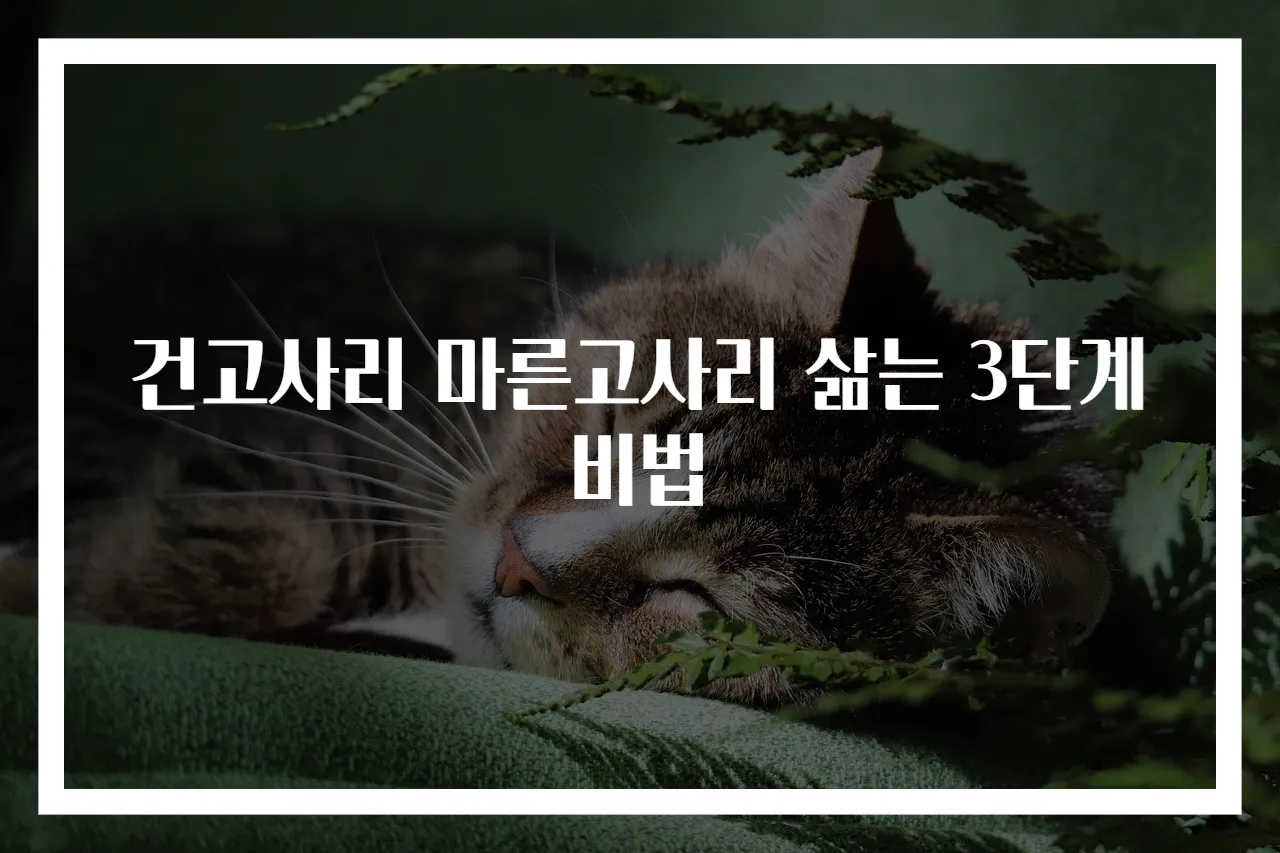 건고사리 마른고사리 삶는 3단계 비법