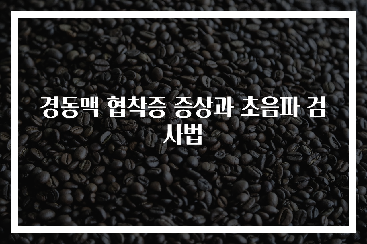 경동맥 협착증 증상과 초음파 검사법