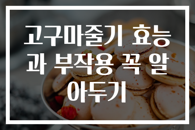 고구마줄기 효능과 부작용 꼭 알아두기