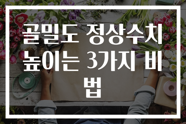골밀도 정상수치 높이는 3가지 비법