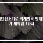 과탄산소다로 카레얼룩 밀폐용기 세척법 3가지