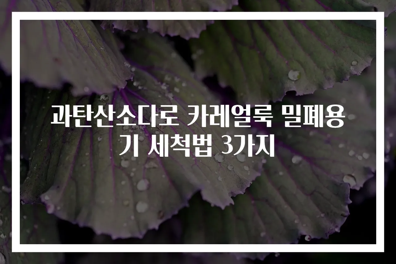 과탄산소다로 카레얼룩 밀폐용기 세척법 3가지